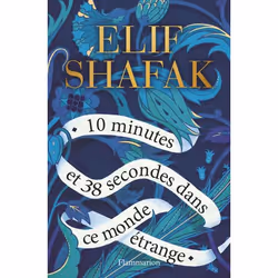 ISBN 10 minutes et 38 secondes dans ce monde étrange, 400 pages