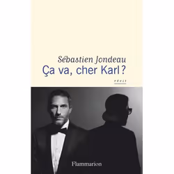 ISBN Ça va, cher Karl ?, 272 pages
