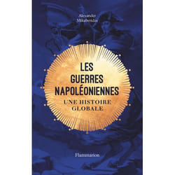 Les guerres napoléoniennes