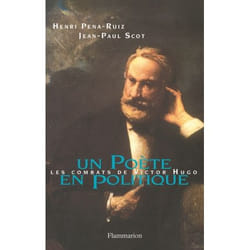 Flammarion Un poète en politique livre Littérature Français
