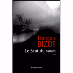 Flammarion Le Saut du varan, Littérature, Français, Livre broché, 303 pages