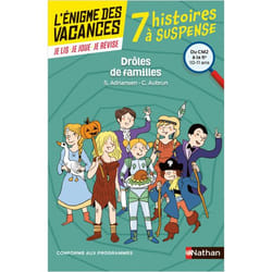 L'énigme des vacances du CM2 à la 6e Drôles de familles ! (Broché)