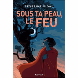 ISBN 9782092490389, Français, Livre broché, 260 pages
