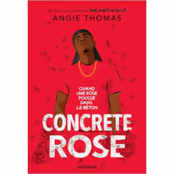 ISBN 9782092490716, Français, Livre broché, 400 pages