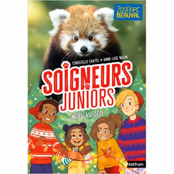 ISBN 9782092490860, Français, Livre broché, 96 pages