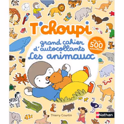 ISBN 9782092491003, Français, Livre broché, 40 pages