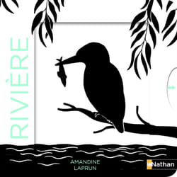 ISBN Les belles couleurs - la rivière : Le livre de Amandine Laprun