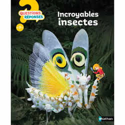 ISBN Incroyables insectes : Le livre de Amanda O'Neill, Marc Duquet, 32 pages