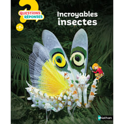 ISBN Incroyables insectes : Le livre de Amanda O&#039;Neill, Marc Duquet