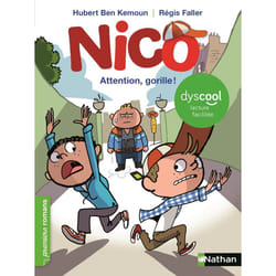 ISBN Dyscool - Nico - Attention, gorille ! : Le livre de Hubert Ben Kemoun, Régis Faller