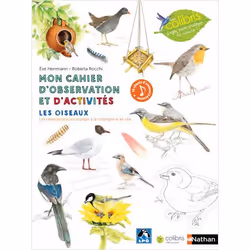 ISBN 9782092588017, Français, Livre broché, 38 pages