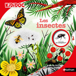 ISBN Les Insectes : Le livre de Muriel Zürcher, Sylvie Bessard, Stéphane Hurtez