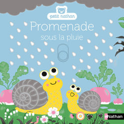 ISBN Promenade sous la pluie : Le livre de Emiri Hayashi