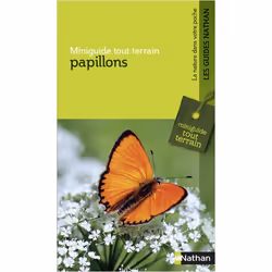 ISBN 9782092788059, Français, Livre broché, 128 pages