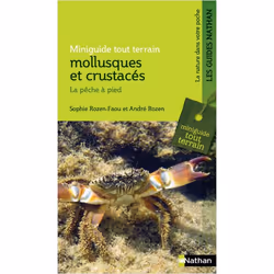 ISBN 9782092789070, Français, Livre broché, 80 pages