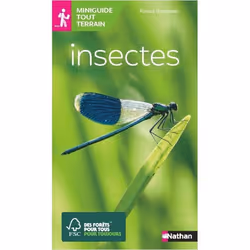 ISBN 9782092789834, Français, Livre broché, 80 pages