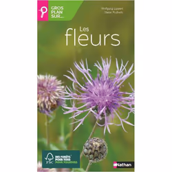 ISBN 9782092789889, Français, Livre broché, 256 pages