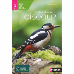ISBN 9782092789902, Français, Livre broché, 440 pages