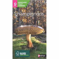 ISBN 9782092789919, Français, Livre broché, 128 pages