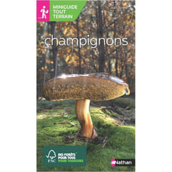 ISBN 9782092789919