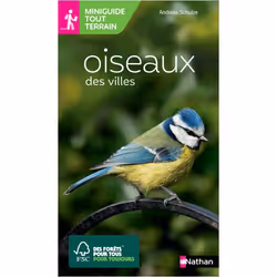 ISBN 9782092789926, Français, Livre broché, 64 pages