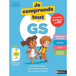 ISBN Je comprends tout Grande section - pour se préparer au CP : Le livre de Véronique Calle, Virginie Chiodo, Stéphanie Chic ...
