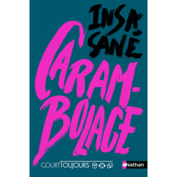 ISBN Carambolage : Le livre de Insa Sané