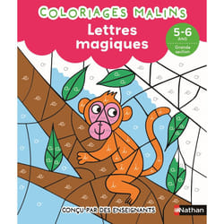 ISBN Lettres magiques GS - Coloriages malins : Le livre de Stéphanie Chica, Lucile Ahrweiller