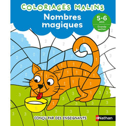 ISBN Nombres magiques GS - Coloriages malins : Le livre de Stéphanie Grison, Rémi Picard, Esther Taïeb
