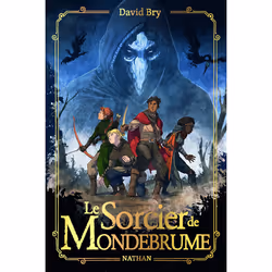 ISBN Le sorcier de Mondebrume : Le livre de David Bry, Baptiste Reymann, Roman, 432 pages