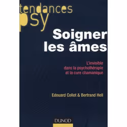 ISBN Soigner Les Ames; L'Invisible Dans La Psychotherapie Et La Cure Chamanique, Psychologie, Français
