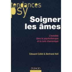 Soigner les âmes - L'invisible dans la psychothérapie et la cure chamanique