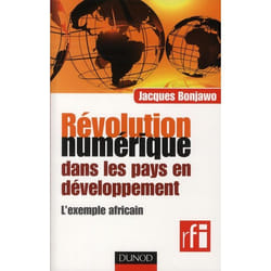 Révolution numérique dans les pays en développement : l'exemple africain