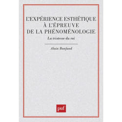 ISBN L'expérience esthétique à l'épreuve de la phénoménologie. La tristesse du roi livre philosophie Français