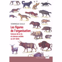 ISBN Les figures de l'organisation, Education, Français, 448 pages