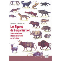 ISBN Les figures de l'organisation livre Education Français