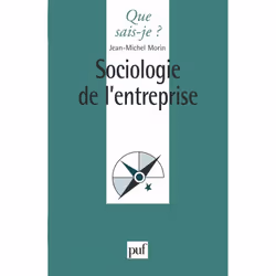 ISBN Sociologie de l'entreprise, Économie, Français, 128 pages