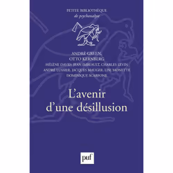 ISBN L'avenir d'une désillusion, Psychologie, Français, 176 pages