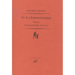 De la phénoménologie