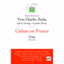 ISBN L'islam en France, philosophie, Français, 760 pages