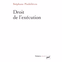 ISBN Droit de l'exécution, Loi, Français, 384 pages