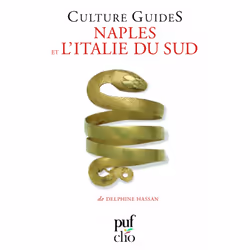 ISBN Naples et l'Italie du Sud, histoire, Français, 430 pages