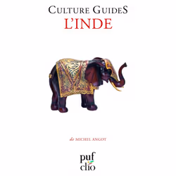 ISBN L'Inde, histoire, Français, 480 pages