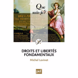 ISBN Droits et libertés fondamentaux, politique, Français, 128 pages