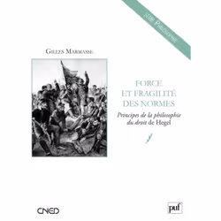 ISBN Force et fragilité des normes, philosophie, Français, 176 pages