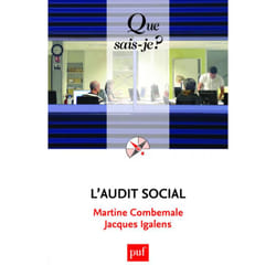 L'audit social