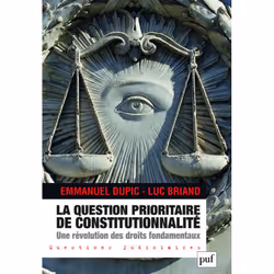 ISBN La Question prioritaire de constitutionnalité, une révolution des droits fondamentaux, Loi, Français, 256 pages