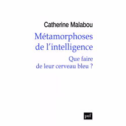 ISBN Métamorphoses de l'intelligence, philosophie, Français, 184 pages