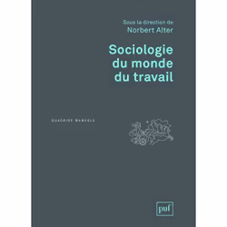ISBN Sociologie du monde du travail, Education, Français, 384 pages