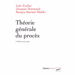 ISBN Théorie générale du procès, Loi, Français, 972 pages